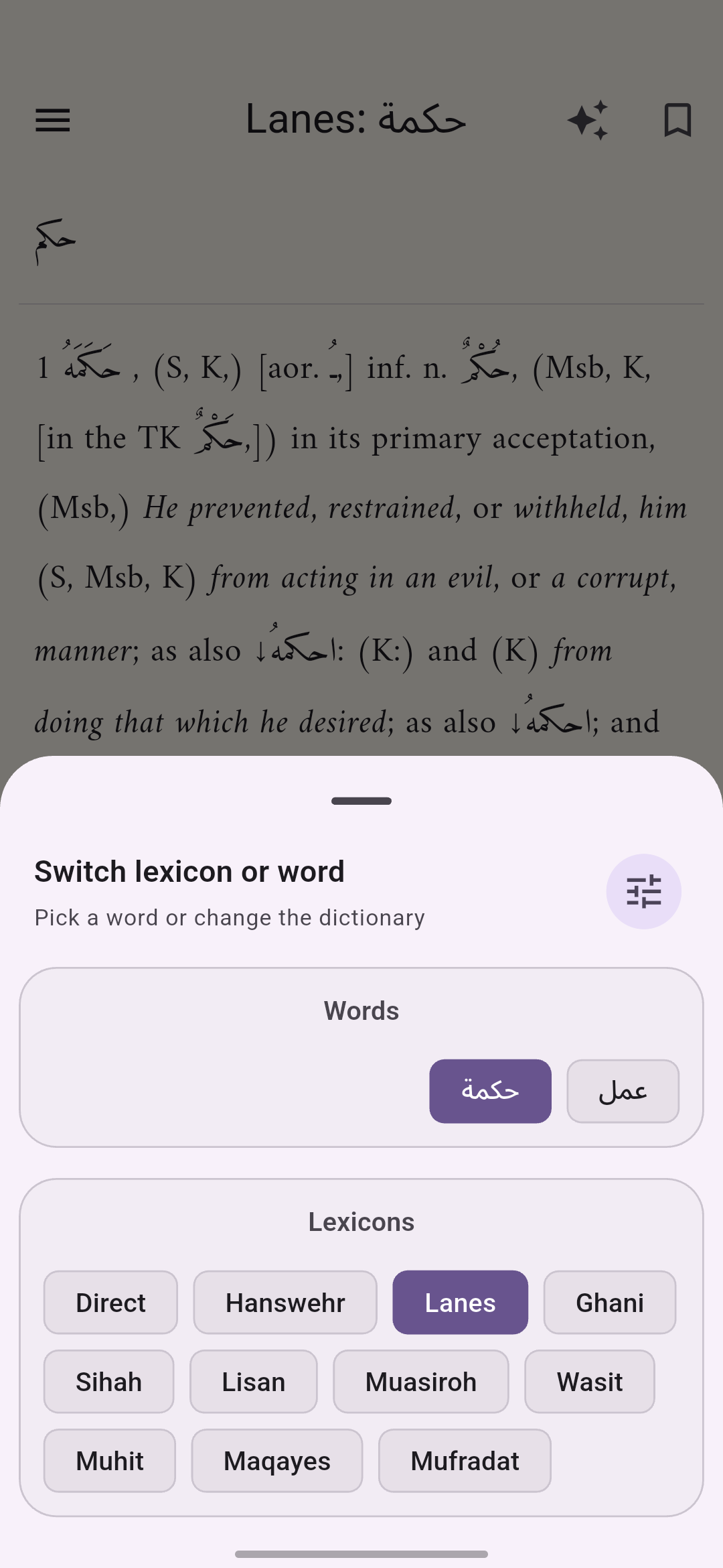 Arabic Lexicons app screenshot