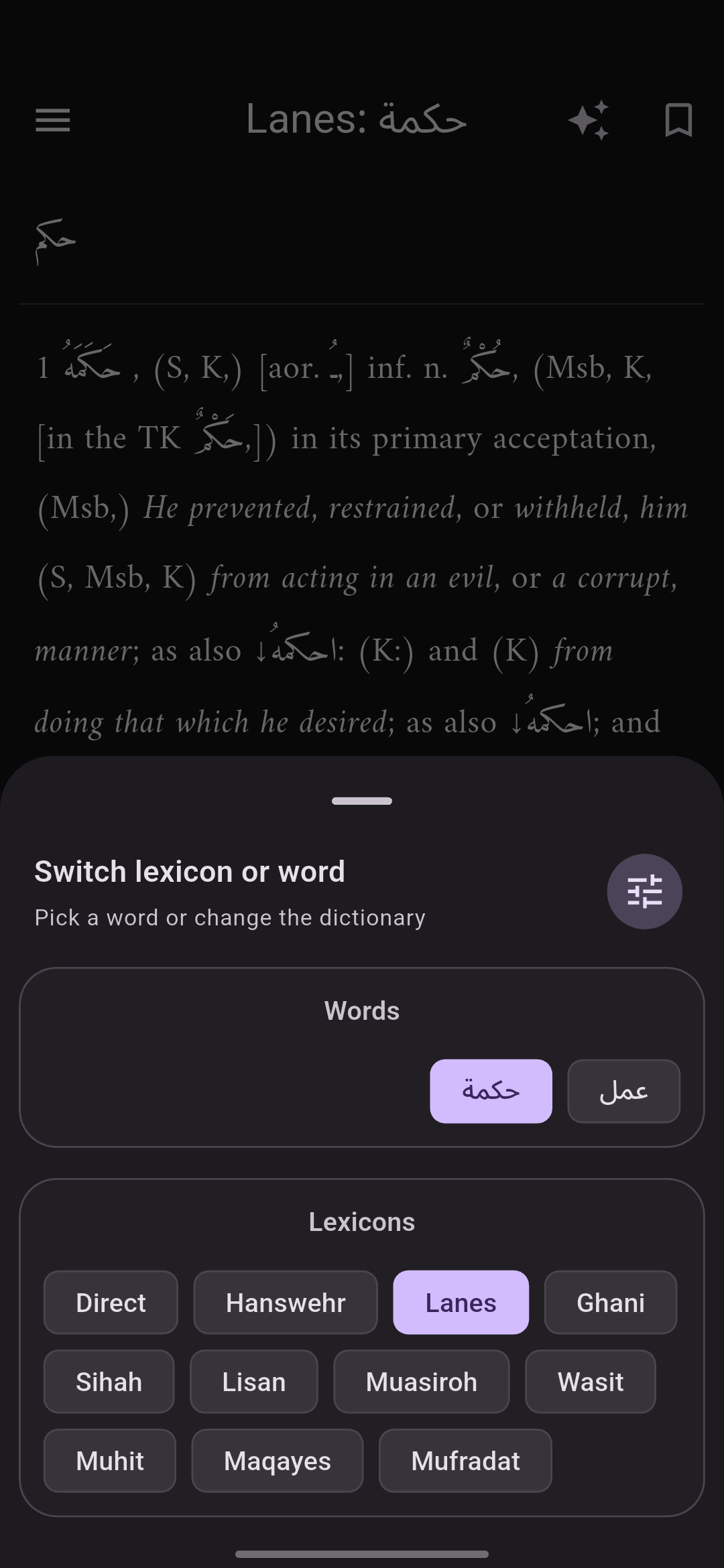 Arabic Lexicons app screenshot